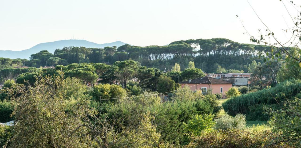 Fuga In Toscana Borgo a Buggiano Εξωτερικό φωτογραφία